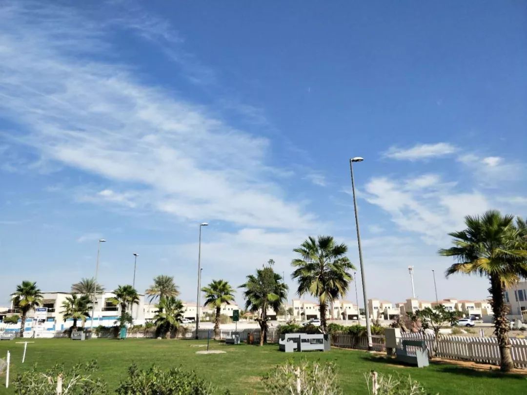 在迪拜工作的坏处,在迪拜都是什么工作