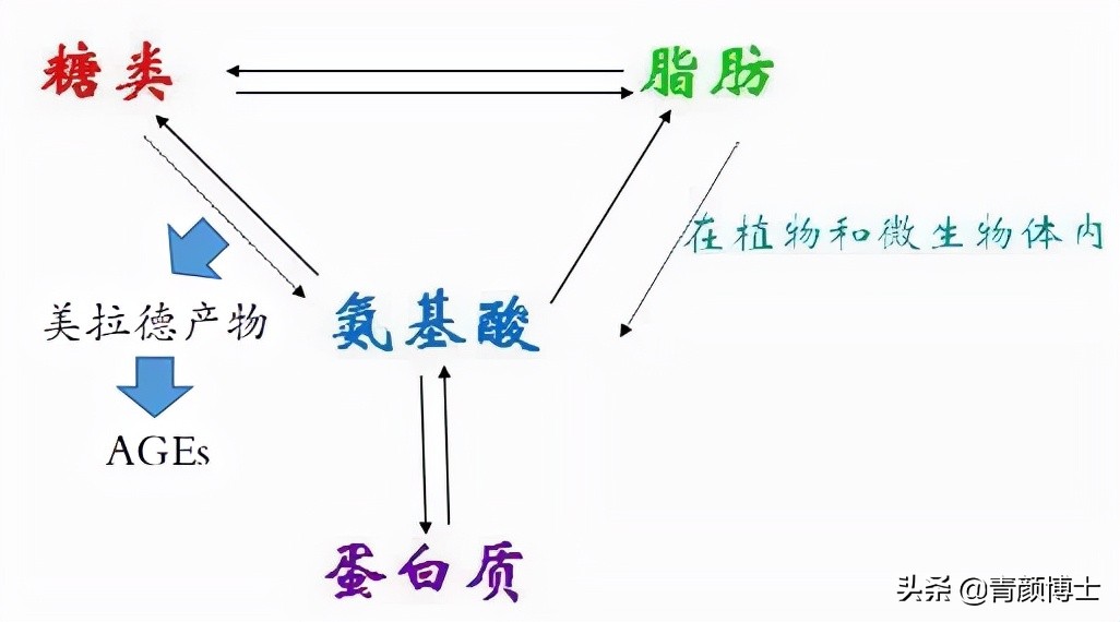 ages是什么产品,ages的作用