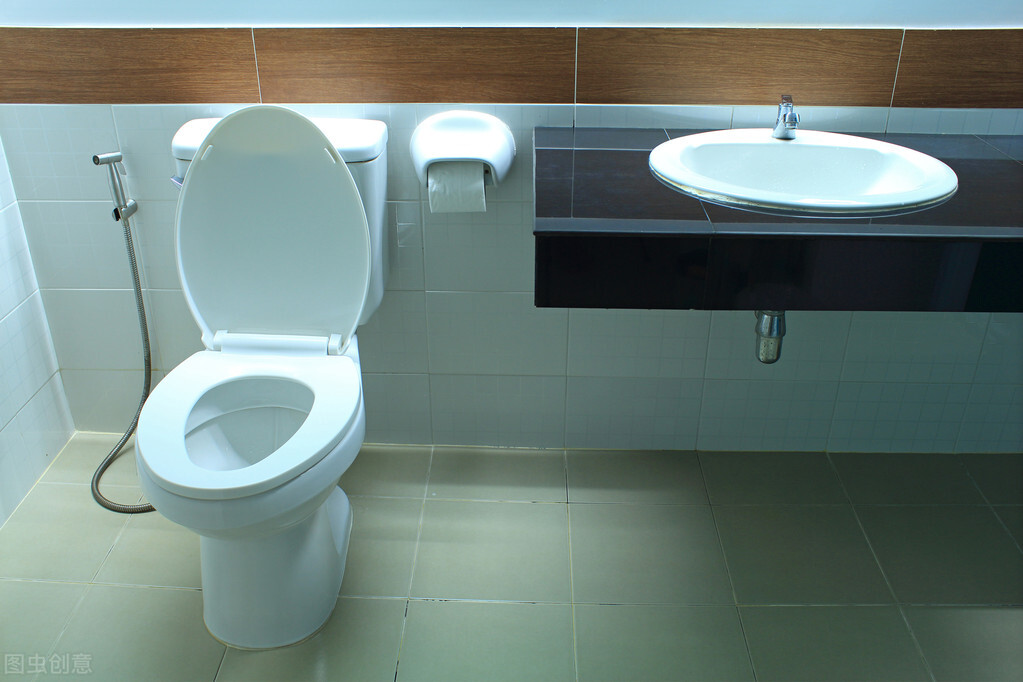 蹲便一定比坐便好?洁厕块危害身体健康?这些年你上对厕所了吗