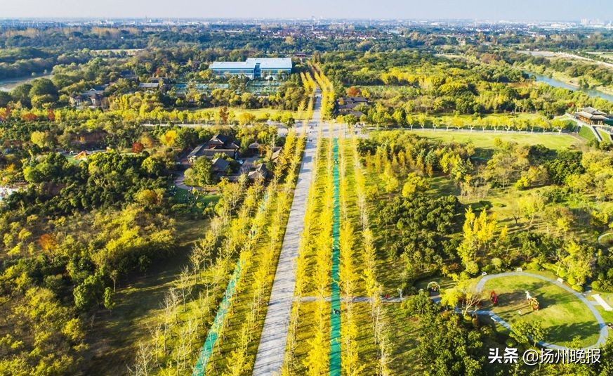 2018年冬天扬州赏花攻略,扬州11月秋景打卡地