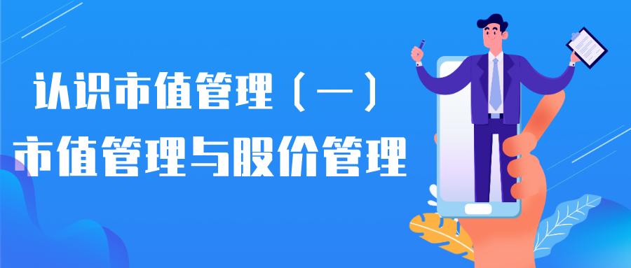 迅实资本重组上市,迅实资本有多少资产