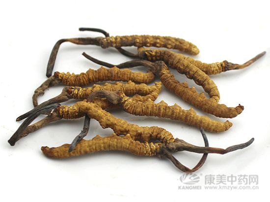 本周药市点评：小品种活跃，大品种整体小范围震荡