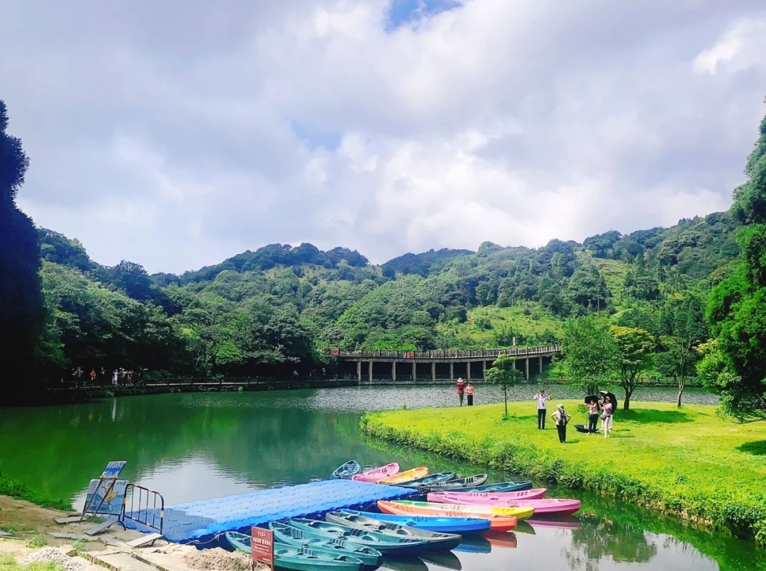 大容山露营三个露营点的区别,广西大容山森林公园露营