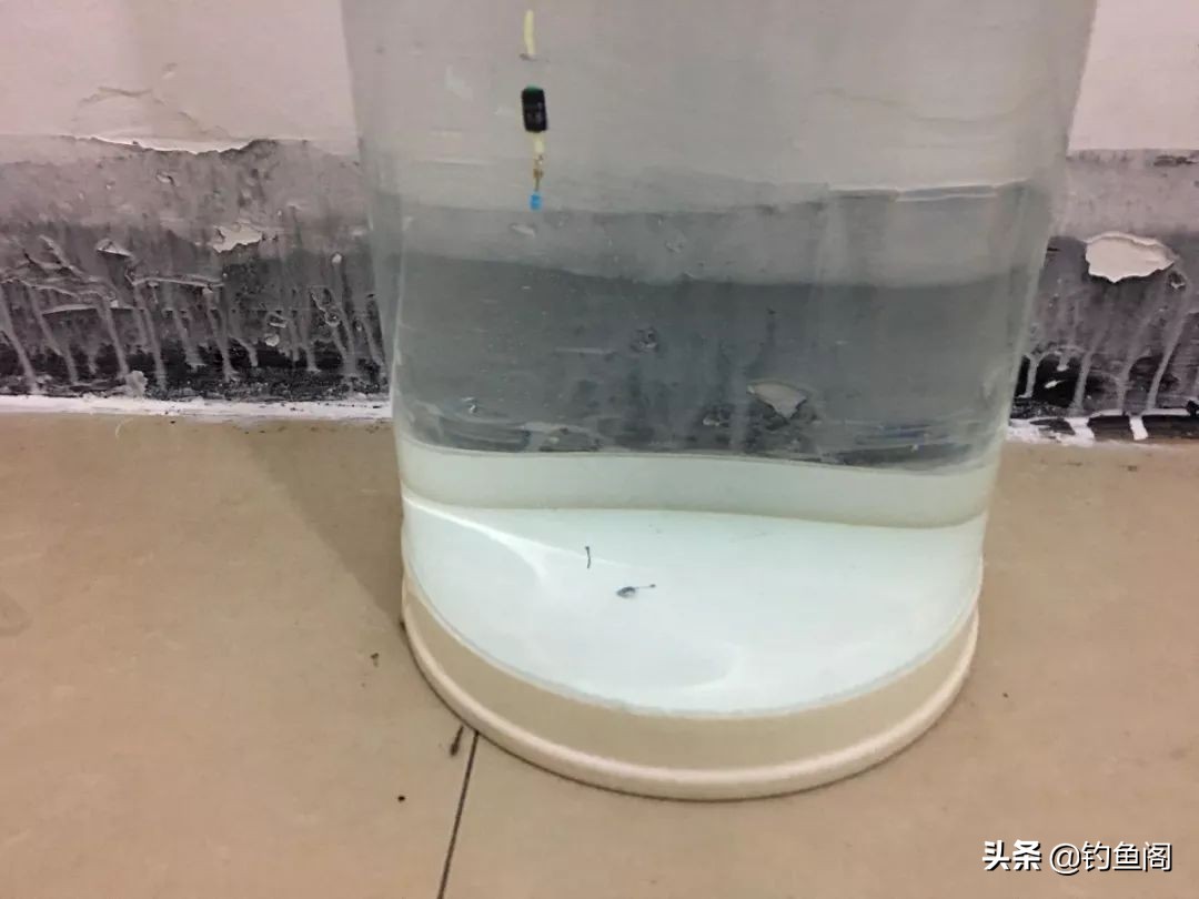 新手带钩调漂最简单方法,新手钓鲤鱼的最佳调漂方法