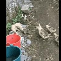 与聊了三个月的网友奔现,聊了一个星期的网友要奔现了