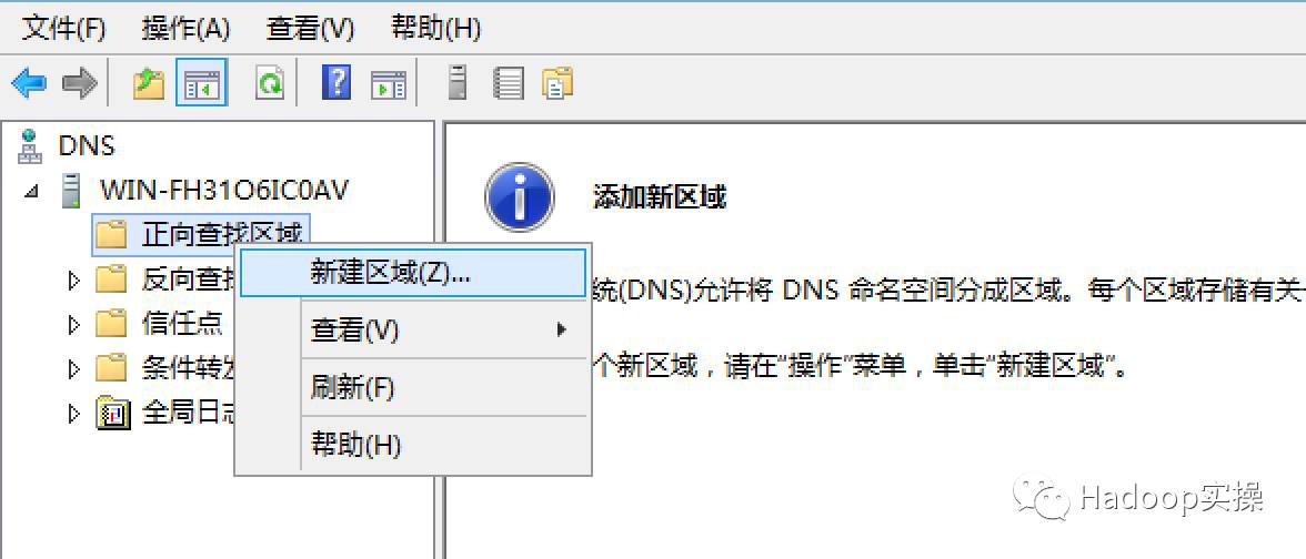 winserver2012dns服务查询,windows如何搭建虚拟dns服务器