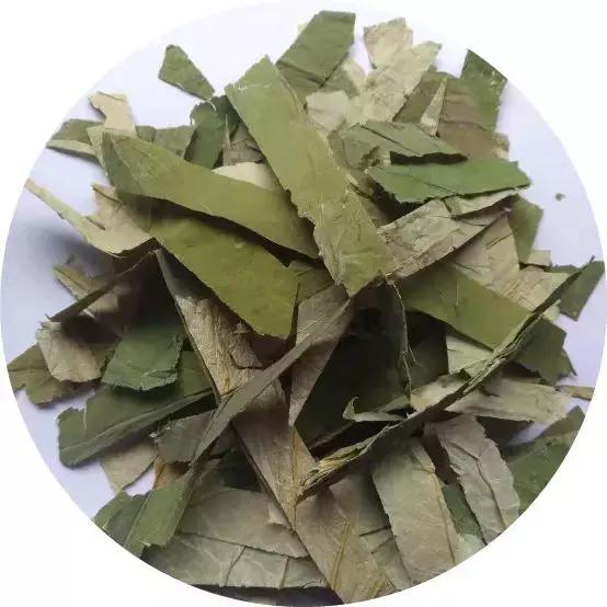 除了荷叶还有什么减肥比较好,荷叶的功效与作用是减肥还是祛湿