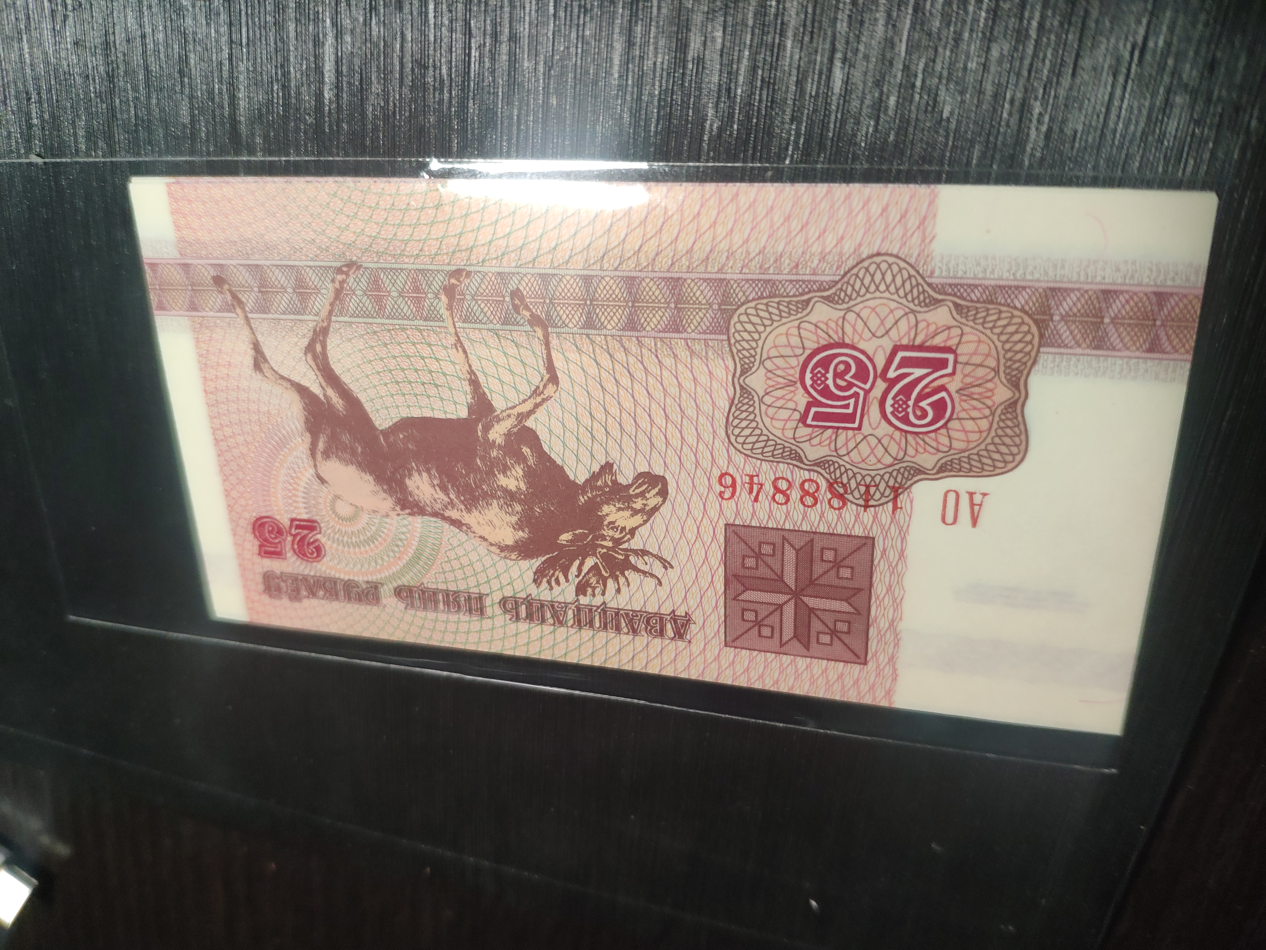 whatdidyoubuy,whatdidyoubuy是什么意思