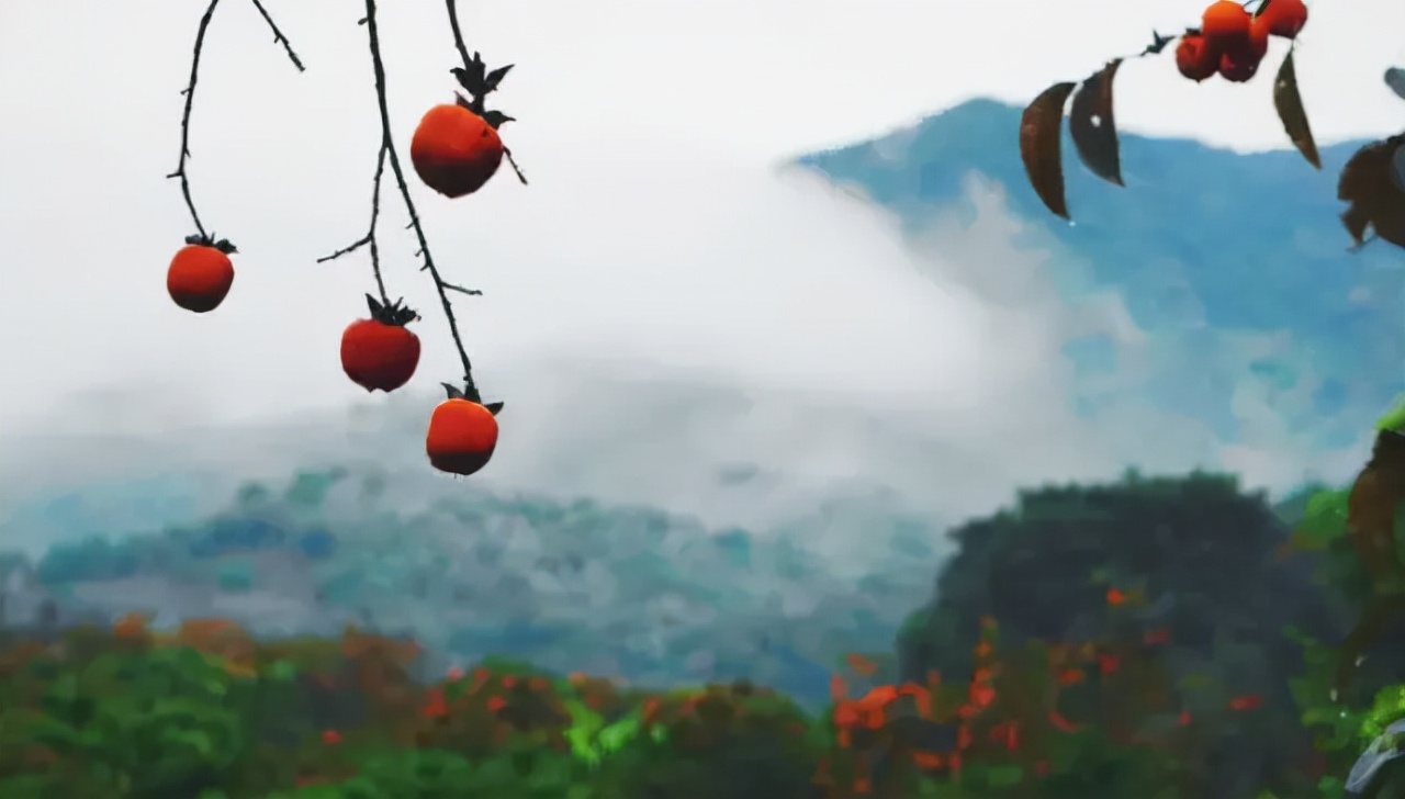 广州从化山野间隐奢桃源民宿,诗意野趣手作做个小木匠丨菁木山舍