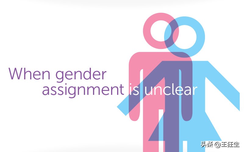 Blinkist性别教育：《她/他/Ta们/我》