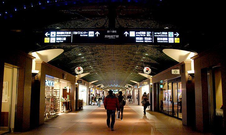 比熊猫小的熊有哪些,比大熊猫还濒危的小熊猫