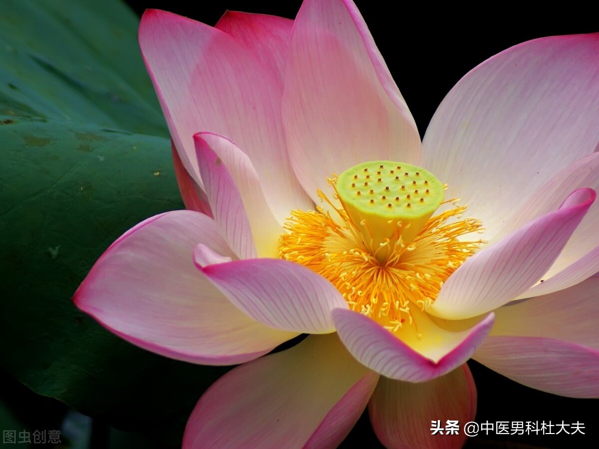 下焦虚弱型肾虚，前列腺炎，中医该如何恢复？