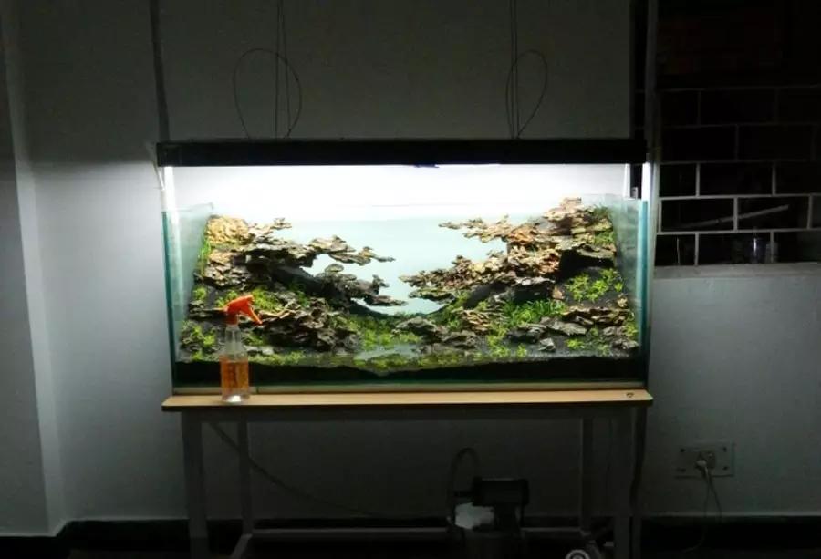 草缸造景教程：胶水造景太温柔，男人就该上电钻