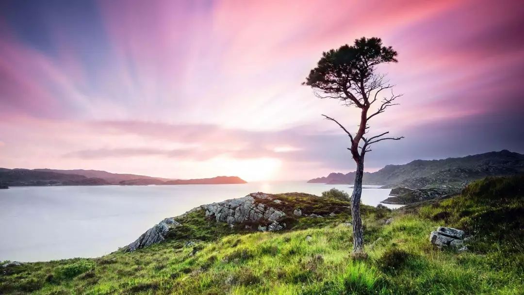 已经是2020年了，为什么我听的还是十年前的歌？