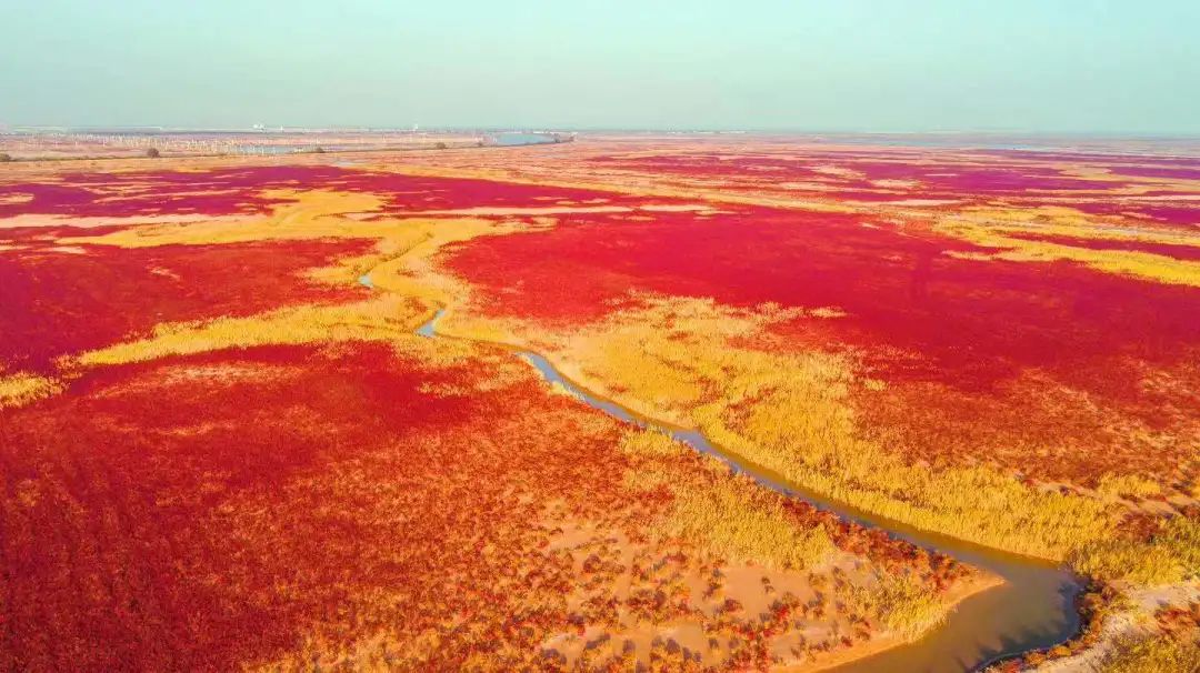 山东这两座小城，集齐了所有令人向往的美景，超级适合自驾！
