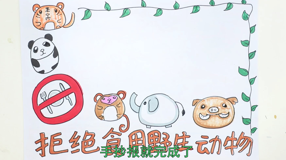 关于野生动物书的手抄报,关于野生动物的手抄报简单漂亮