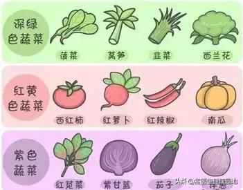 正确的果蔬减肥法,很多医生吃二甲双胍减肥