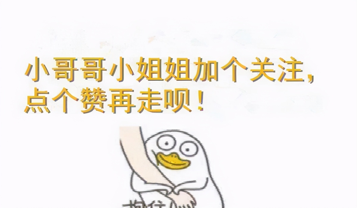 猫咪有跳蚤，老一辈人教你几个小妙招，轻松解决