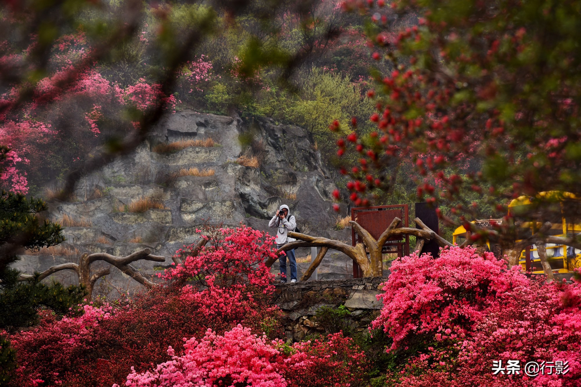 云雾山武汉,武汉汉口北打卡网红景点