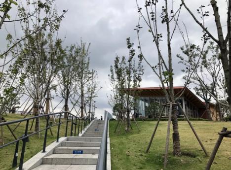 望江驿遇见古琴教学,望江驿遇见叶辛完整版