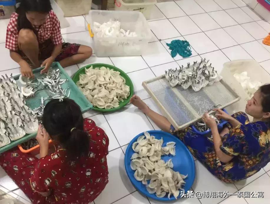 泰国燕窝比马来好些吗,印尼燕窝和马来西亚燕窝区别