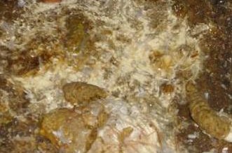 鸡瘟的原因,发生鸡瘟死鸡怎么处理