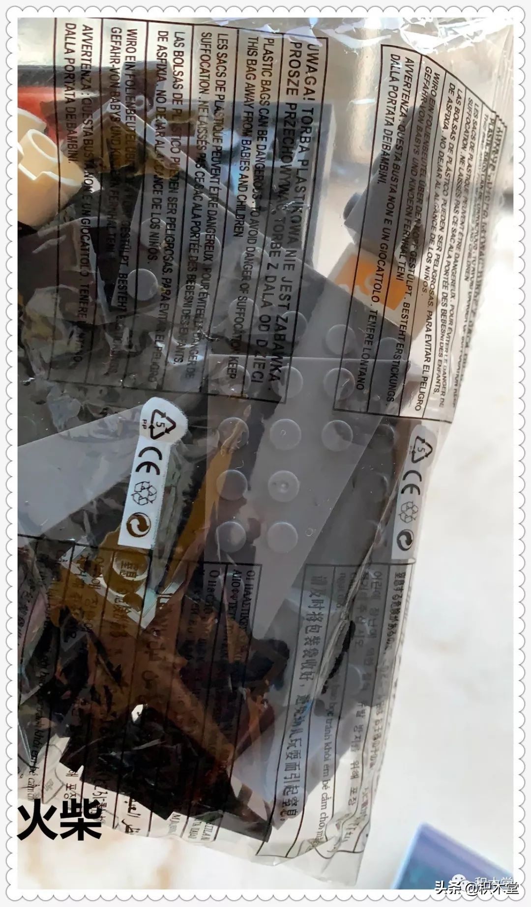 乐翼积木11338（雷克斯霸王龙）--（开箱贴）