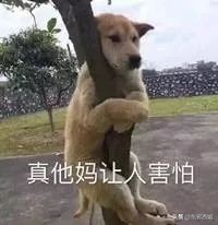 人设崩塌全靠硬撑,人设崩塌还有救吗