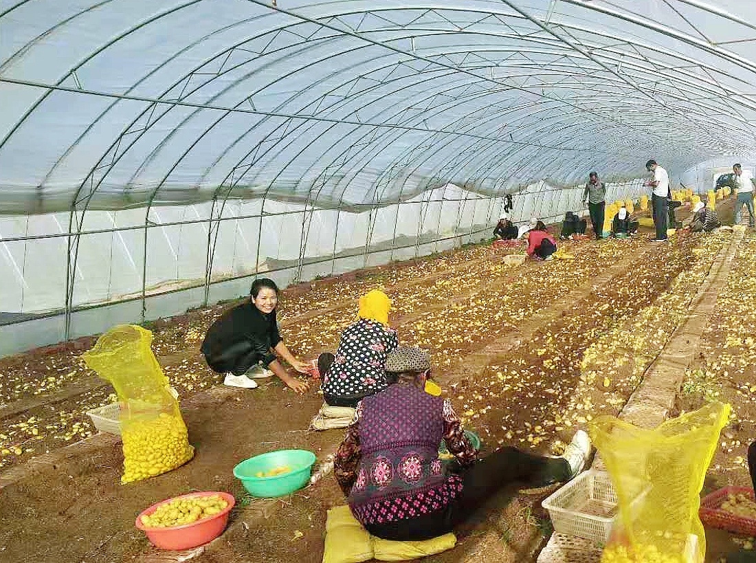 京蒙协作助推内蒙古乡村振兴,京蒙帮扶人员致富
