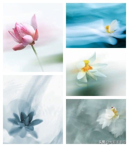 教你怎么拍出漂亮的荷花,摄影如何拍出荷花的感觉