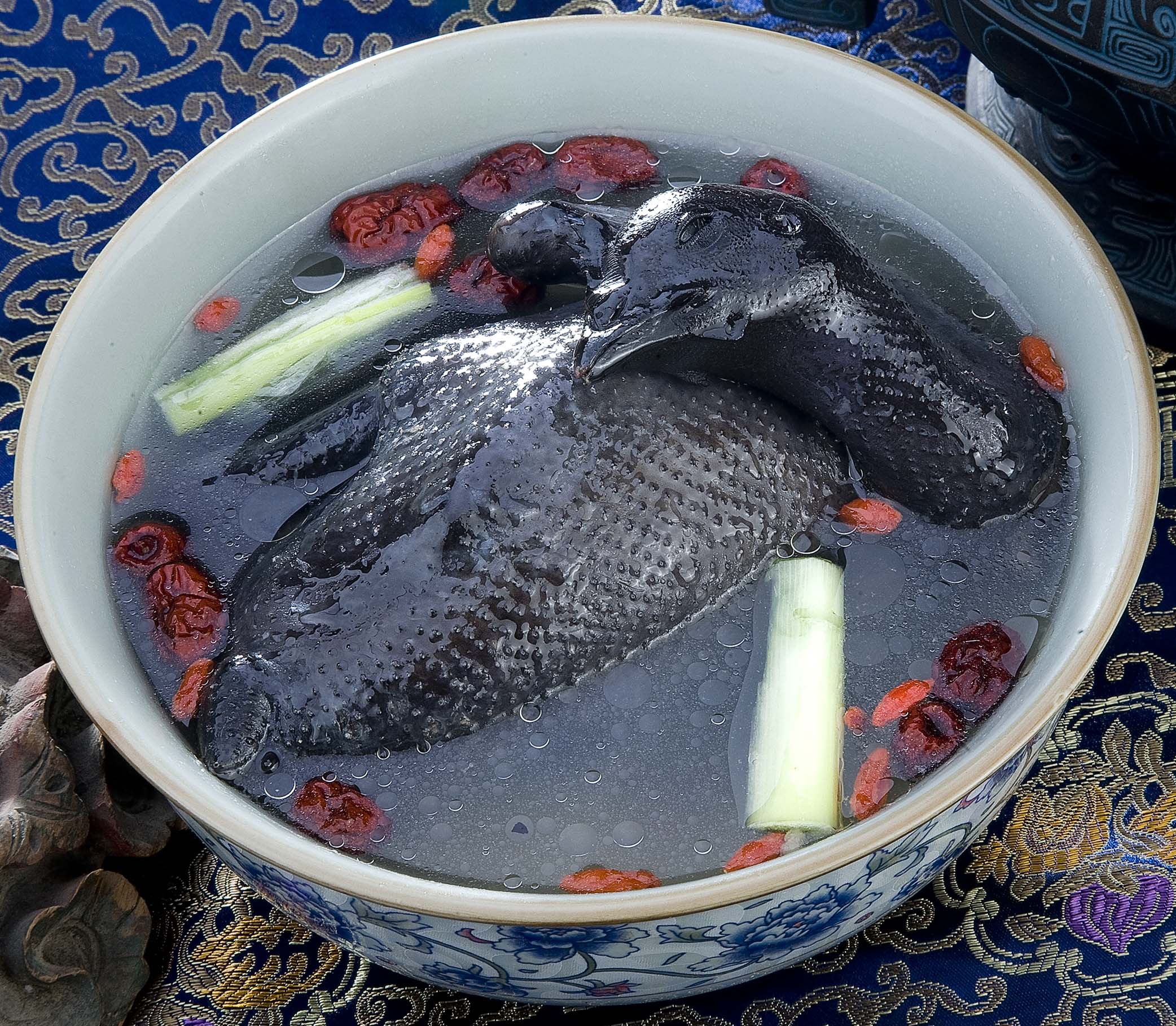 养殖2000只土鸡的成本与利润,养殖土鸡投资知识