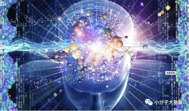 肽营养学与肽临床营养学,临床肽营养学