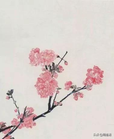 100幅桃花画,怎么画桃花树林