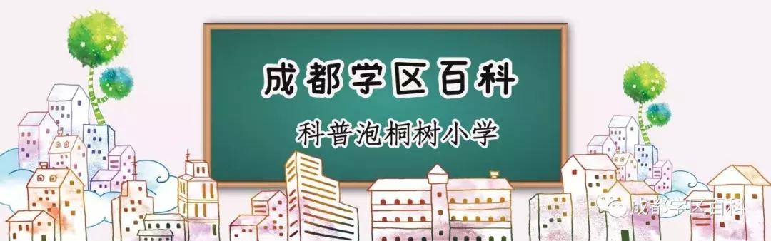 成都泡桐树小学放假安排,成都新津泡桐树小学最新进展