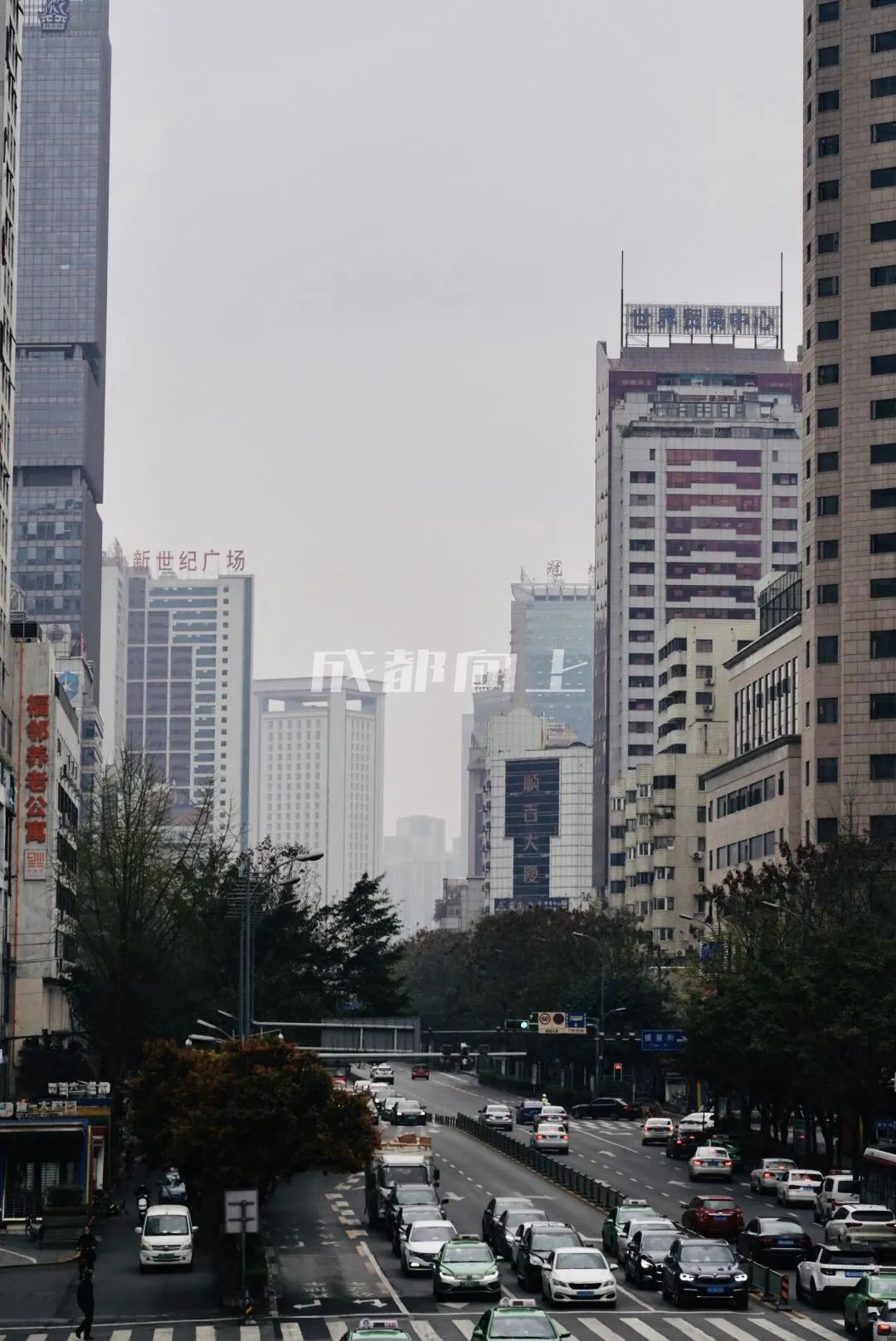 如何让成都变东京？网友：大LOGO收敛点