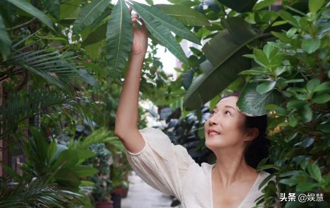 吴绮莉吴卓林个人资料,吴绮莉喊话吴卓林