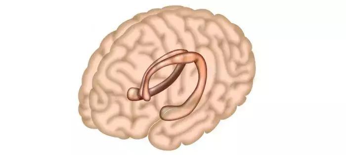 缺乏维生素d会导致抽搐吗,缺乏维生素d会导致焦虑症吗