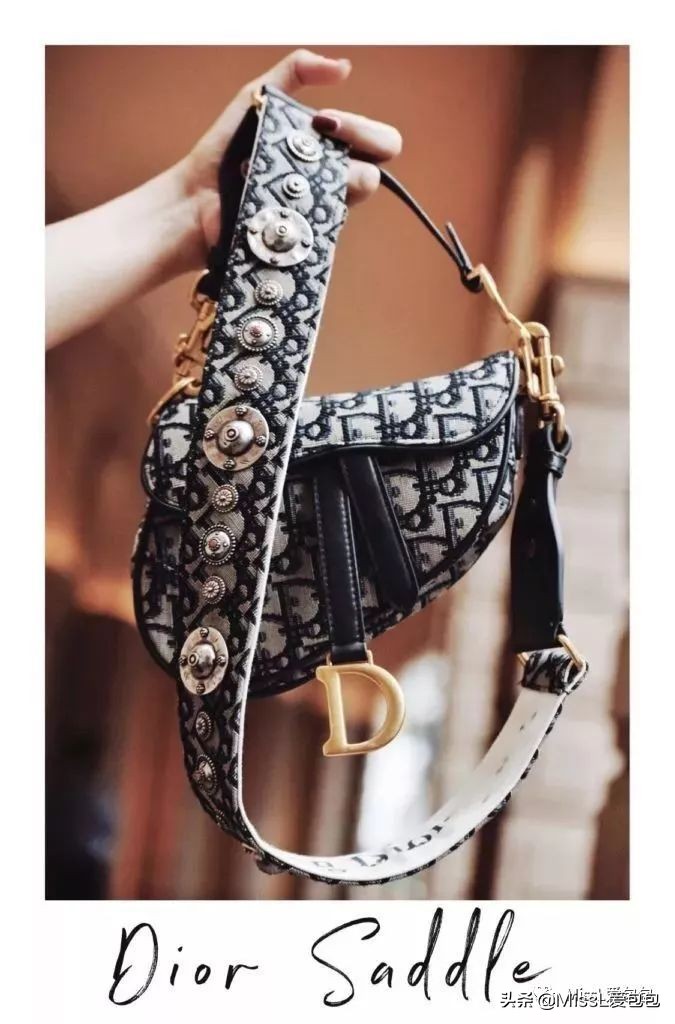 diorsaddle包全金,diorsaddle大包