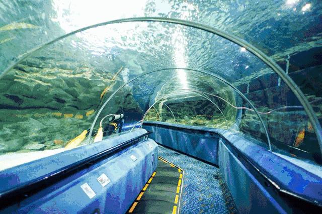 北京富国海底世界,北京富国海底世界攻略