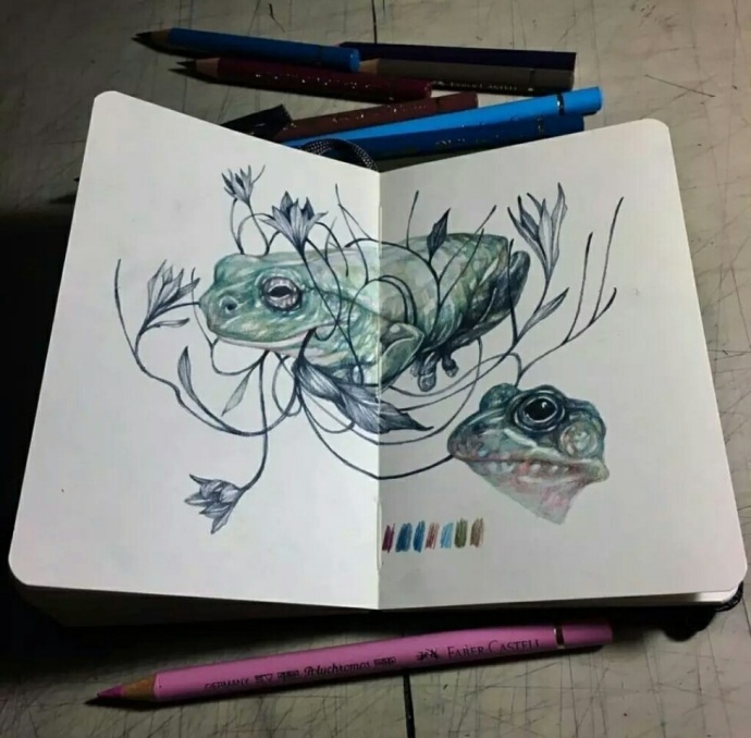 意大利彩铅画家,马可雷诺艺术家彩铅60色