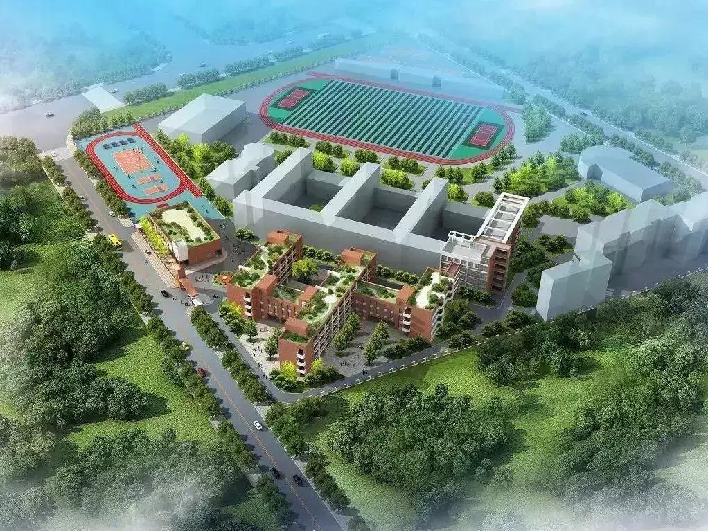 每个郫筒二小毕业的，都是在石牛公园耍大的