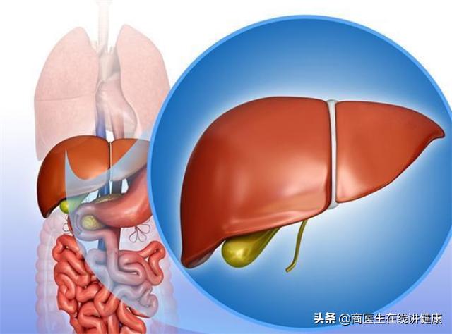 几年都在服用二甲双胍,真的不会损伤肝肾吗?听听医生怎么说