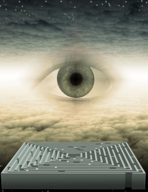 澳大利亚奶粉大量滞销,疫情下店铺倒闭风险分析