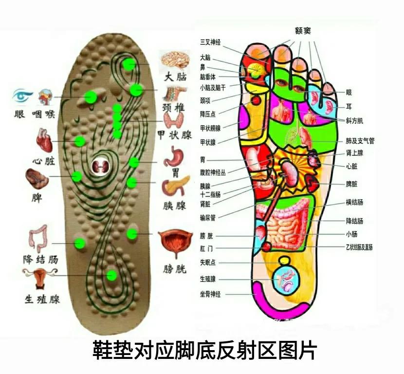 带按摩功能的鞋垫,多功能足底按摩鞋垫