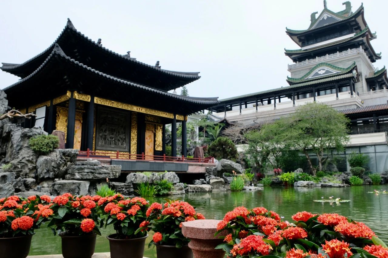 80后看过的一部经典戏剧电影,好听到哭的现场版