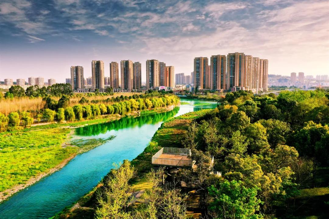 鏍戝眿鐏攨,鏍戝眿鍚冪悆