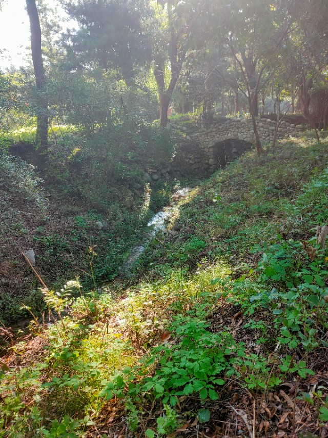 大连安波鸿缘温泉山庄,大连安波温泉民宿