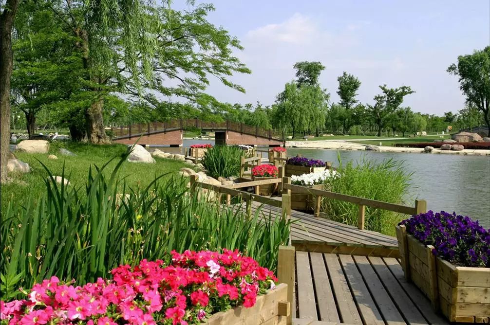 上海青浦东方绿舟景区,上海青浦东方绿舟度假村