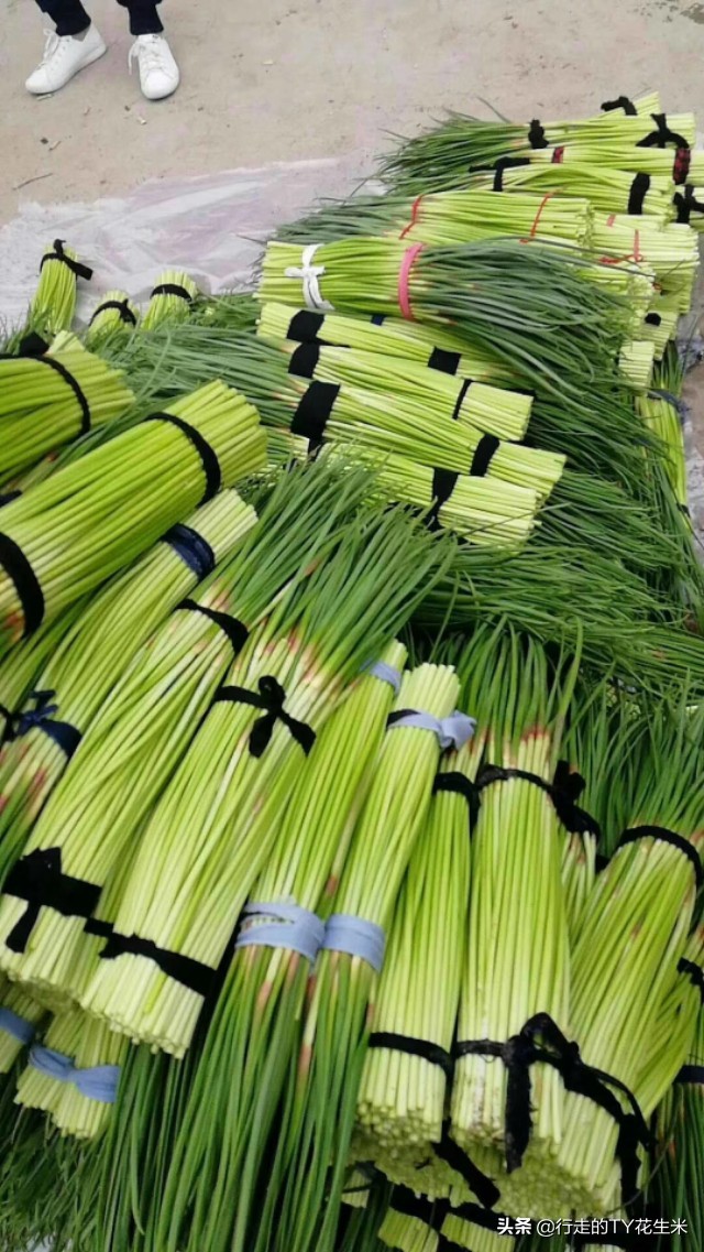 西安西部欣桥蔬菜市场会不会搬迁,西安欣桥蔬菜批发市场甘蓝价格