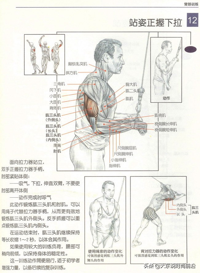 减脂健身计划一周表,减脂健身计划一周表图